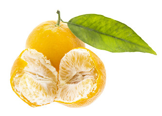 Image showing Clementine