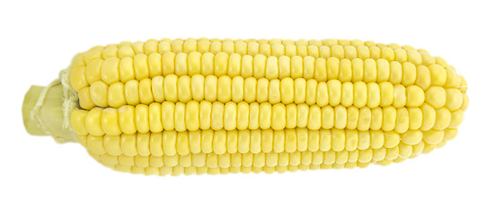 Image showing Corn