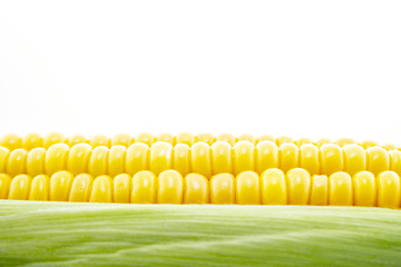 Image showing Corn