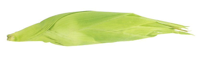 Image showing Corn