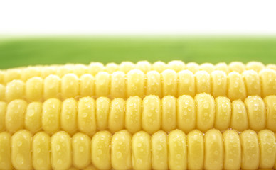 Image showing Corn