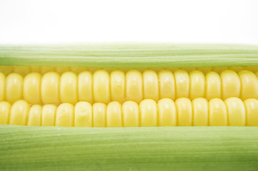 Image showing Corn