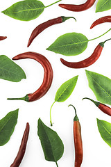 Image showing hot chili pepper