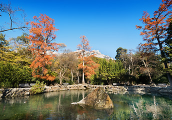 Image showing Lake in the park