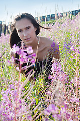 Image showing Beautiful brunette woman in field