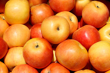 Image showing Red apples