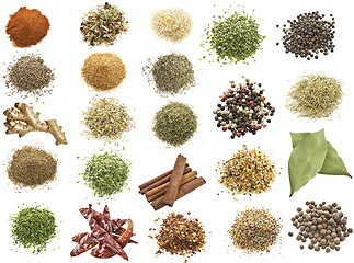 Image showing Spices Collection