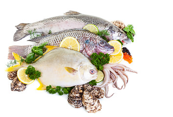 Image showing Mixed Fresh Fish