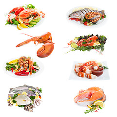 Image showing Fish Collage