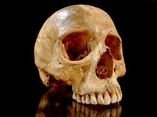 Image showing Scull profile