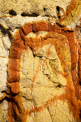 Image showing rock abstract  lichens 