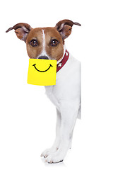 Image showing yellow not dog 