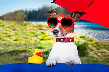 Image showing summer dog under umbrella