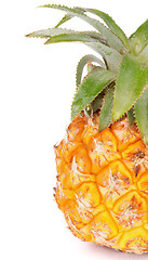 Image showing Pineapple