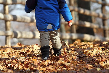 Image showing child walking on rural road