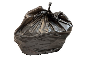Image showing isolated garbage bag