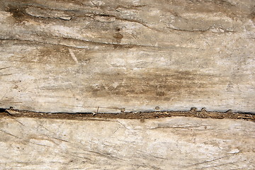 Image showing old texture of wood