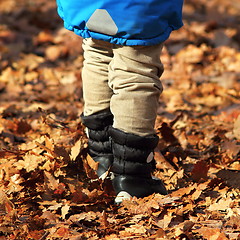 Image showing boy walking amongst faded leaves