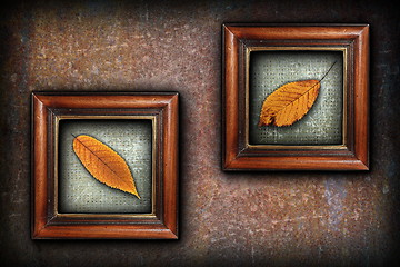 Image showing display of autumn symbols