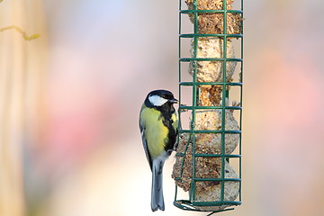 Image showing great tit hanging on fat feeder