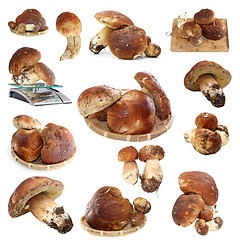 Image showing collection of fungi porcini ready for cooking