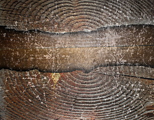Image showing distressed cracked  wood stump backdrop