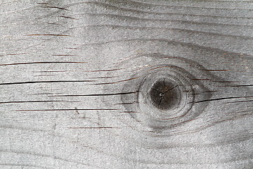 Image showing spruce plank texture