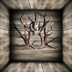 Image showing hunting trophies on wooden room