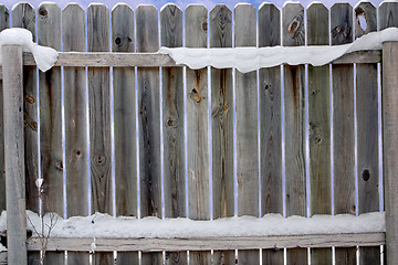 Image showing Old Snowy Fence