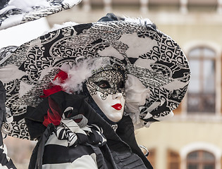 Image showing Portrait of a Disguised Person with a Big Hat