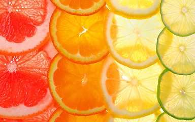 Image showing Sliced citrus fruits background 