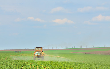 Image showing Tractor fertilizes crops in the field