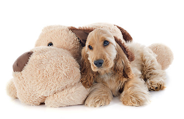 Image showing puppy cocker spaniel and toy