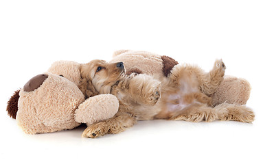 Image showing puppy cocker spaniel and toy