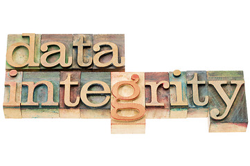 Image showing data integrity in wood type
