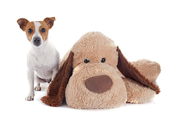 Image showing jack russel terrier and toy