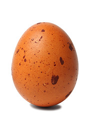 Image showing Dotted egg standing on white