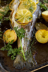 Image showing Baked Rainbow Trout Tail