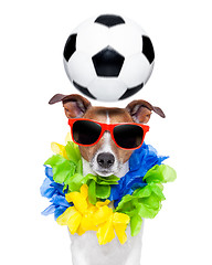 Image showing brazil funny soccer dog 