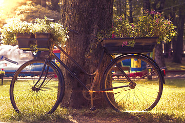 Image showing flowers on a black bicycle