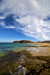 Image showing beach  water  coastline and summer in lanzarote 