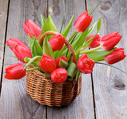 Image showing Spring Tulips