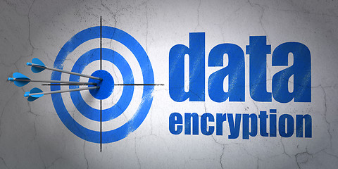 Image showing Safety concept: target and Data Encryption on wall background