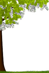 Image showing Cash Tree