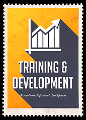Image showing Training and Development on Yellow in Flat Design.