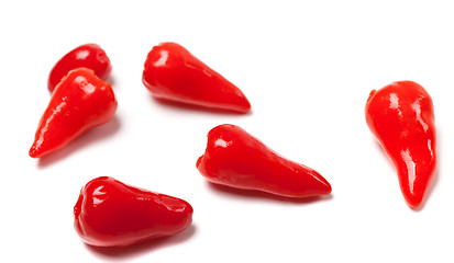 Image showing Piri-piri hot peppers on white background