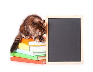 Image showing Kitten with chalkboard