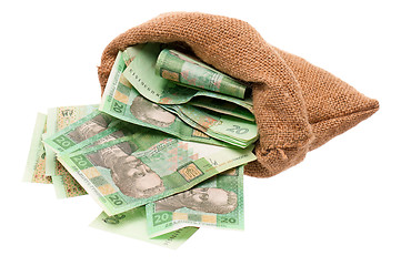 Image showing Money bag with hryvna