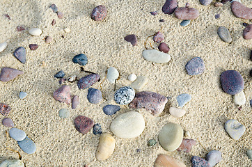 Image showing Untouched sandy beach with pebbles