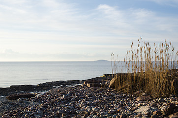 Image showing Peaceful coastline